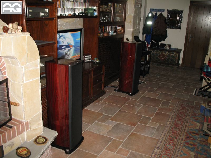 √ Monitor Audio PL 300 Platinum Rosewood Occasione Usato Codice 79881