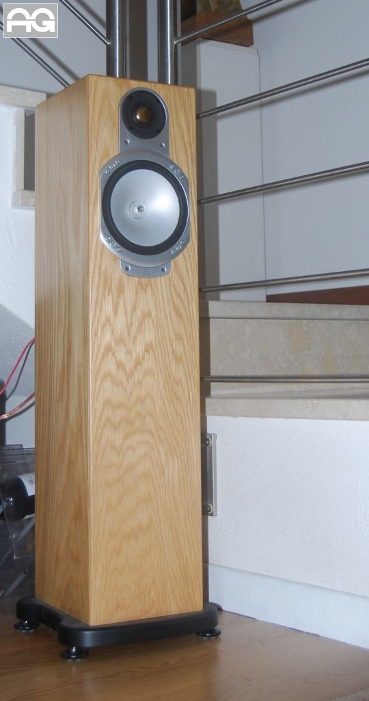 √ Monitor Audio Rs5 Occasione Usato Codice 84071