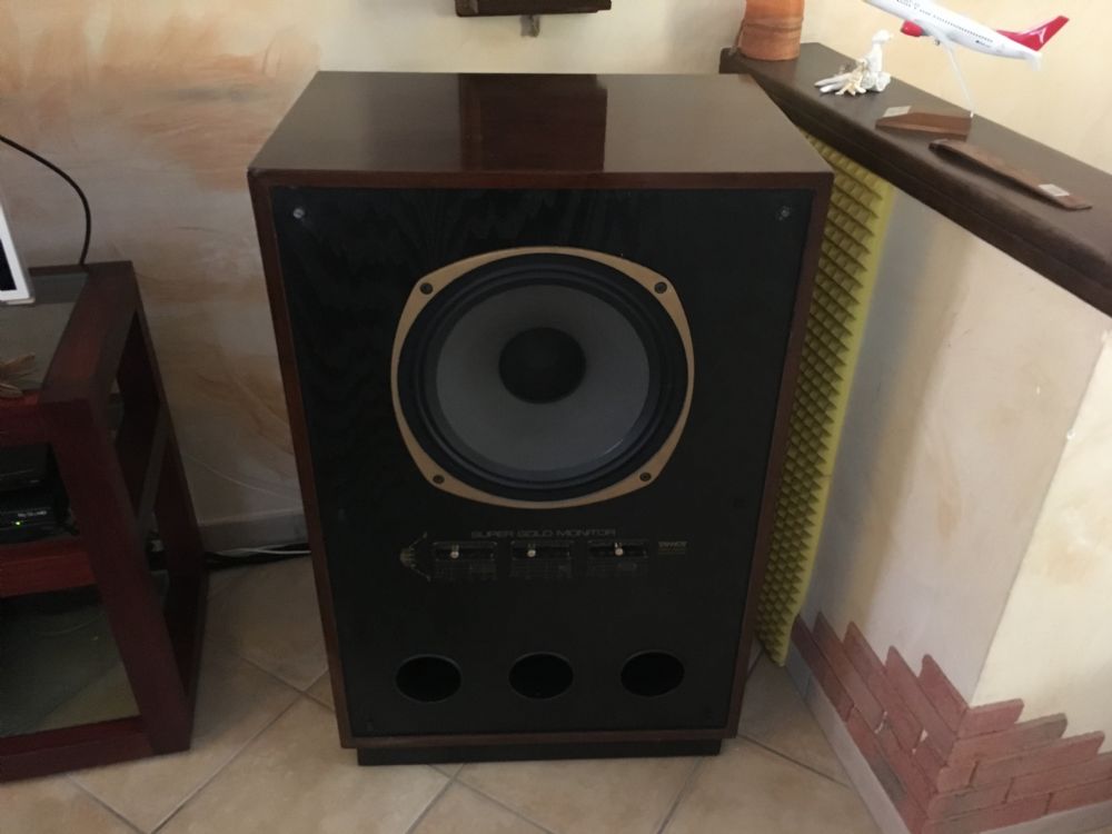 tannoy sgm 1000