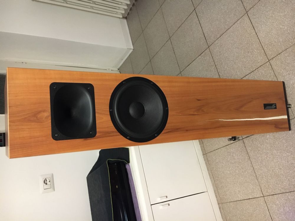 √ Blumenhofer Acoustics Tempesta 20 Occasione Usato Codice 237861