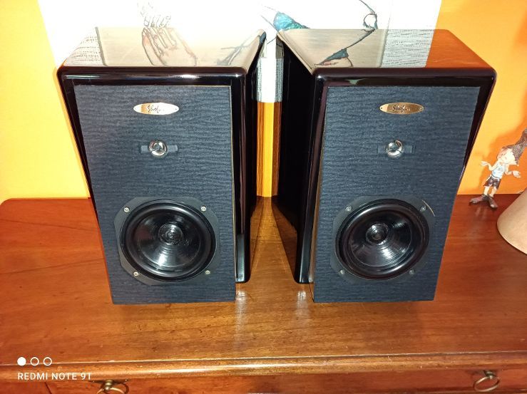 √ Mel Audio Shofar Occasione Usato Codice 267263