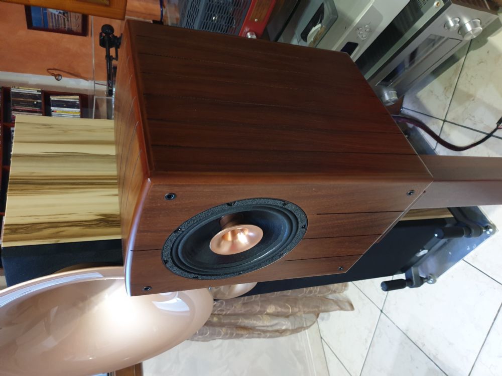 √ Woodsound Coax 8 Occasione Usato - Codice 311263