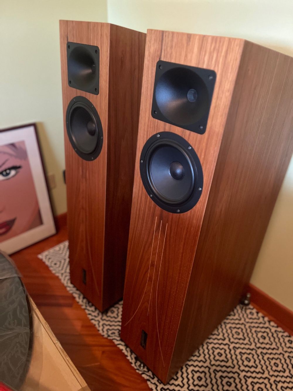 √ Blumenhofer Acoustics Blumenhofer Big Fun 17 Occasione Usato Codice